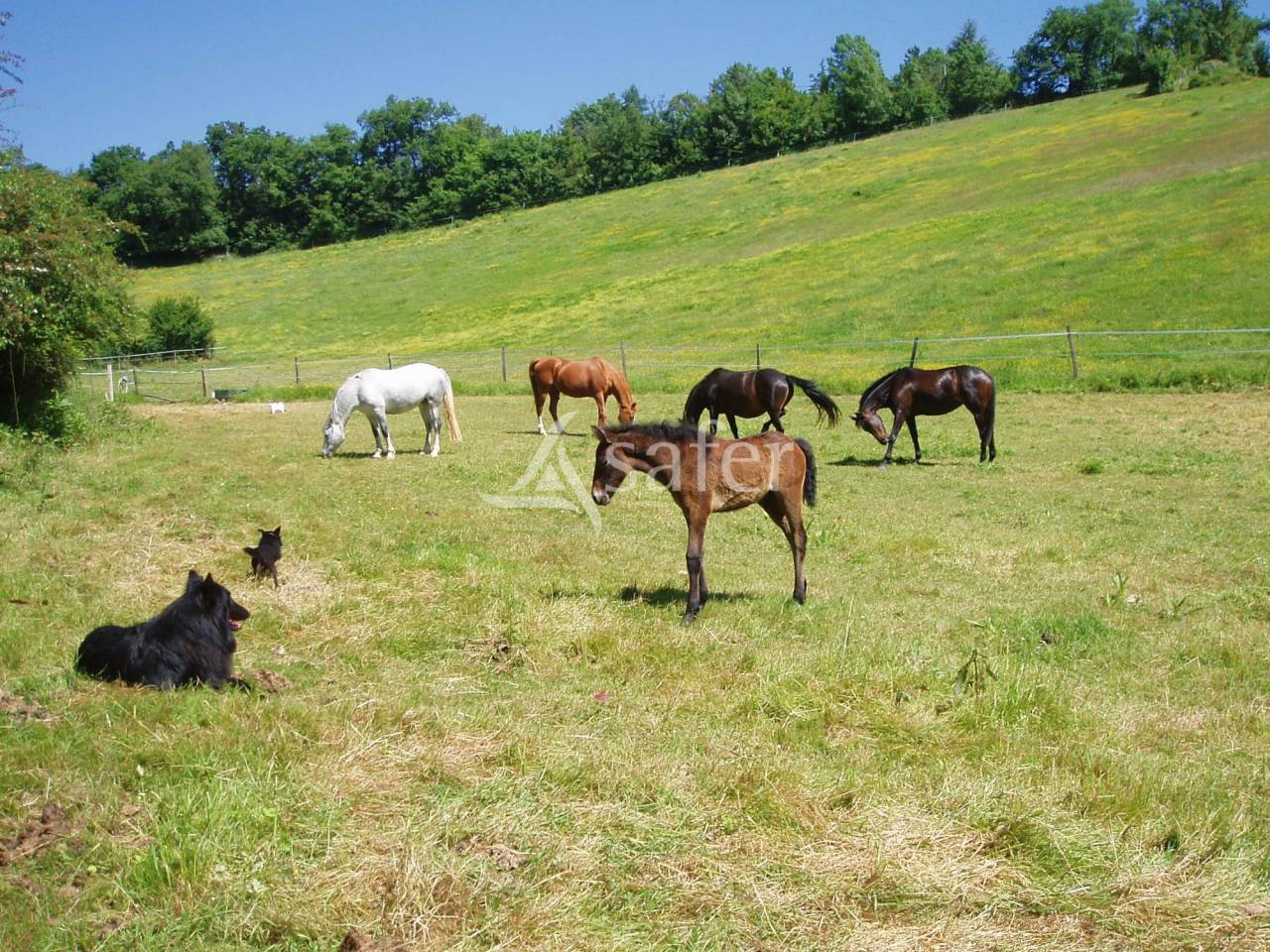 Proprietà rurale In vendita Gers