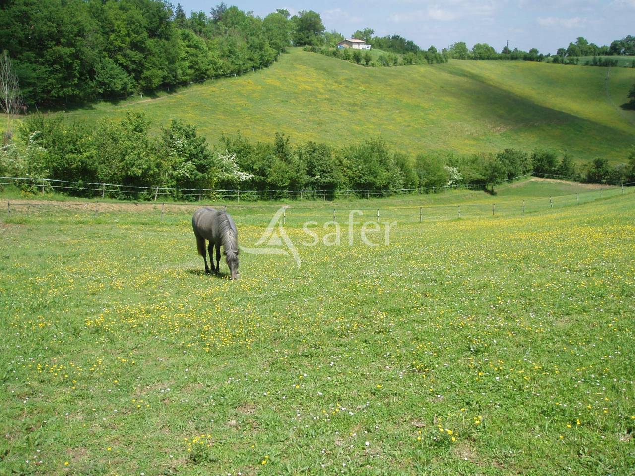 Proprietà rurale In vendita Gers