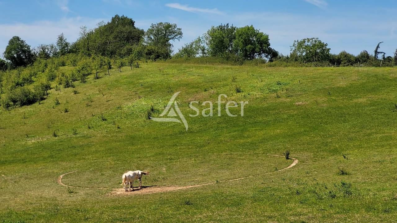 Proprietà rurale In vendita tarn