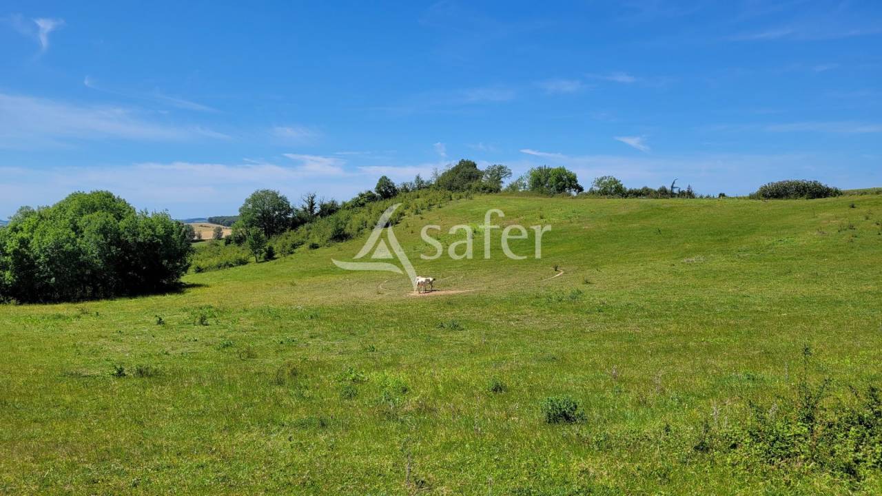 Proprietà rurale In vendita tarn