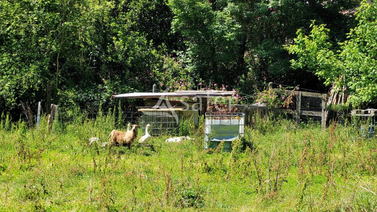Proprietà rurale In vendita tarn