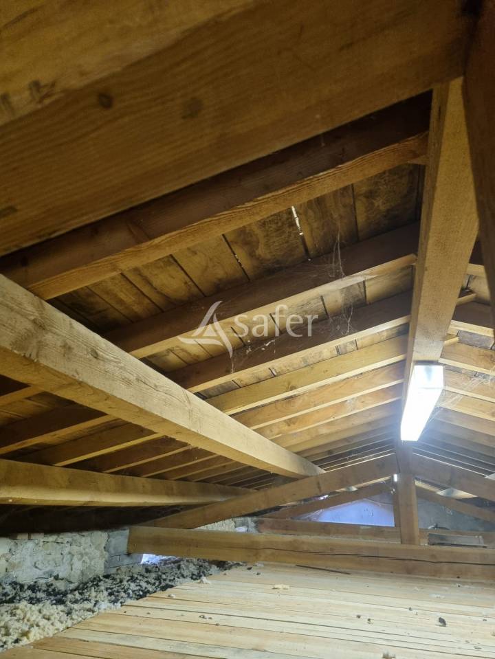 Proprietà rurale In vendita tarn