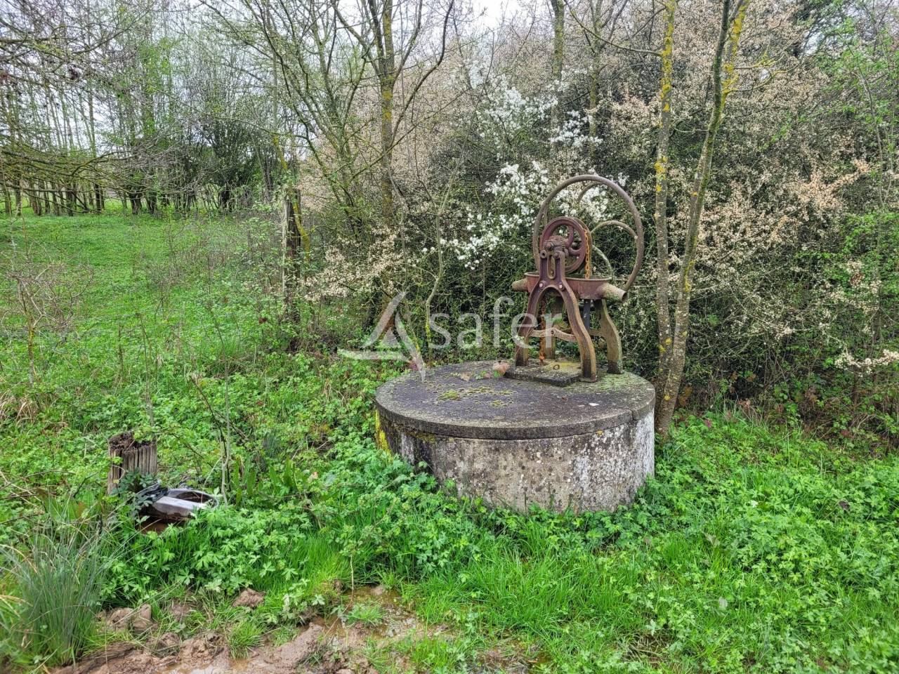 Proprietà rurale In vendita tarn