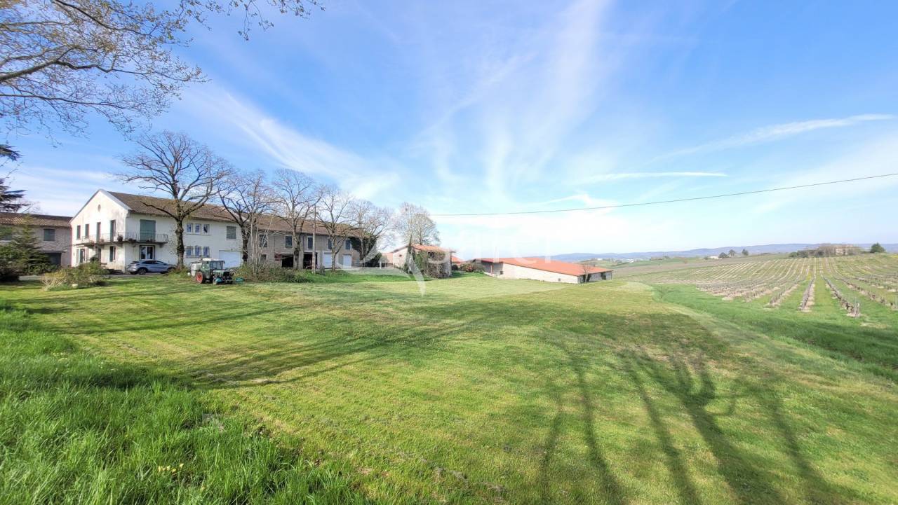 Proprietà rurale In vendita tarn