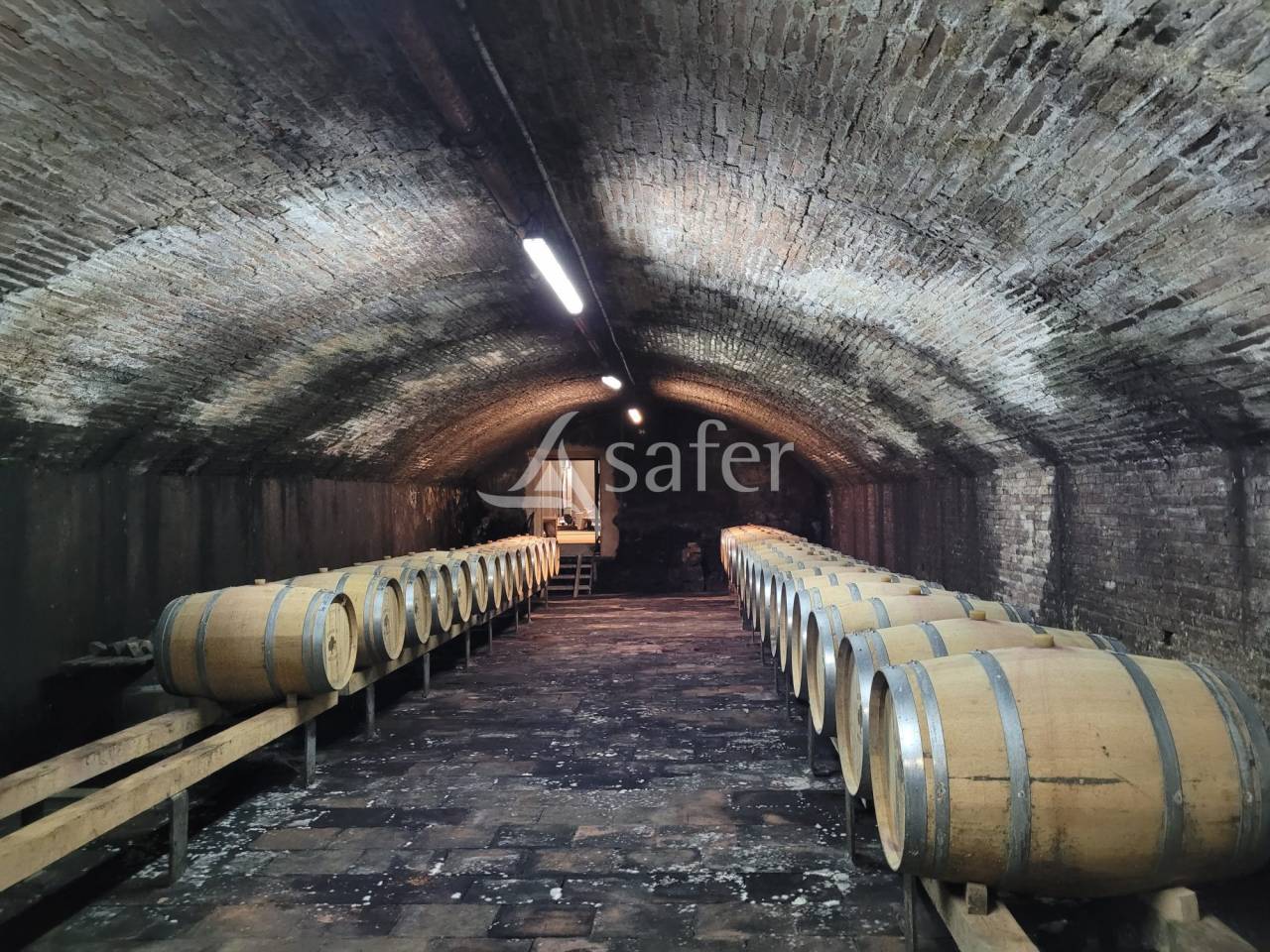 Proprietà rurale In vendita tarn