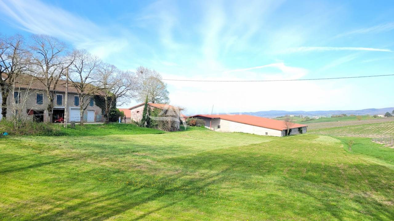 Proprietà rurale In vendita tarn