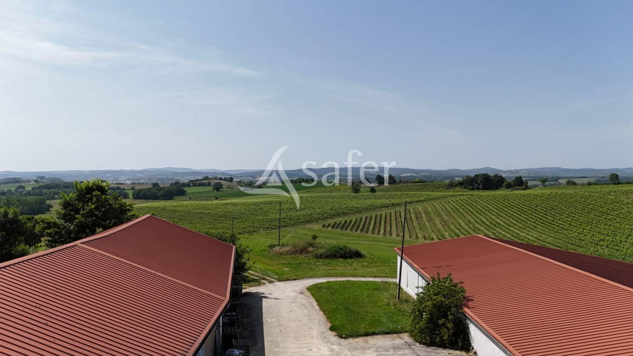 Proprietà rurale In vendita tarn