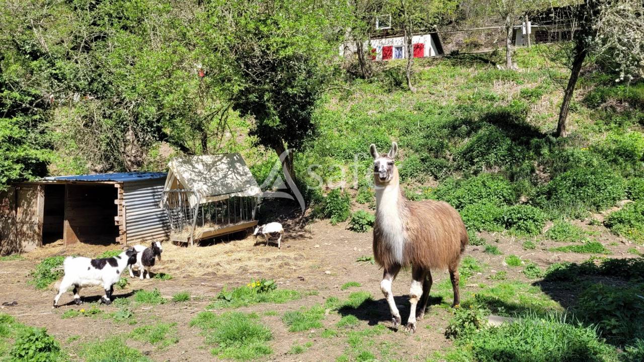 Propriet&agrave; rurale In vendita tarn