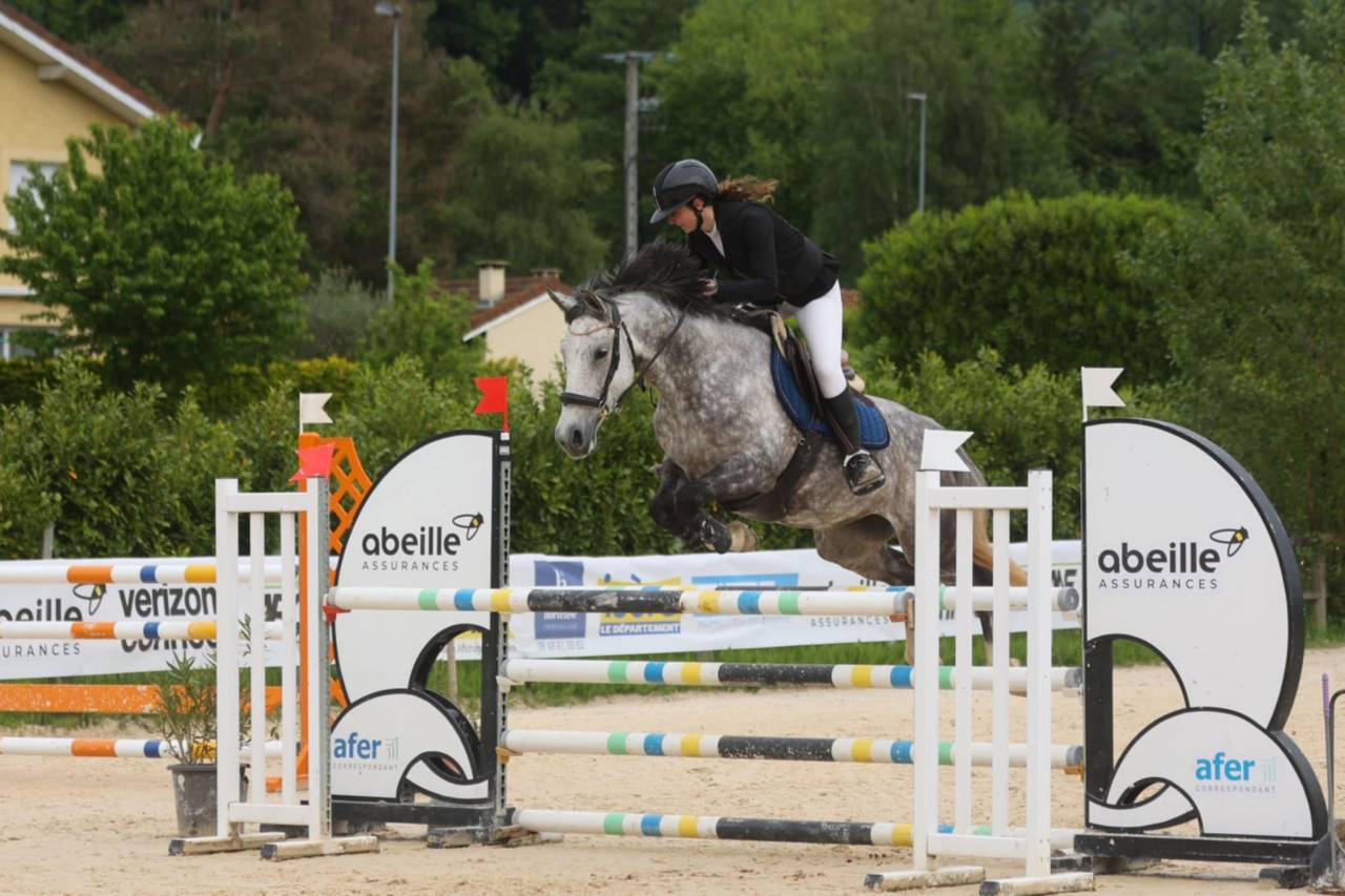 Cavalla PFS Pony Francese da Sella In vendita 2016 Grigio ,  MOVIE STAR TILIA
