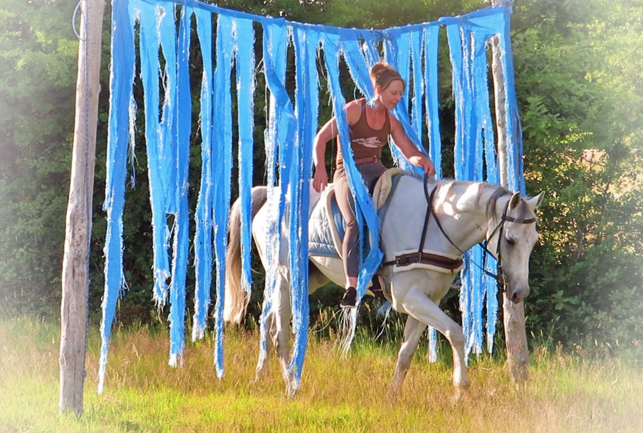 Castrone AQPS In vendita 2015 Grigio