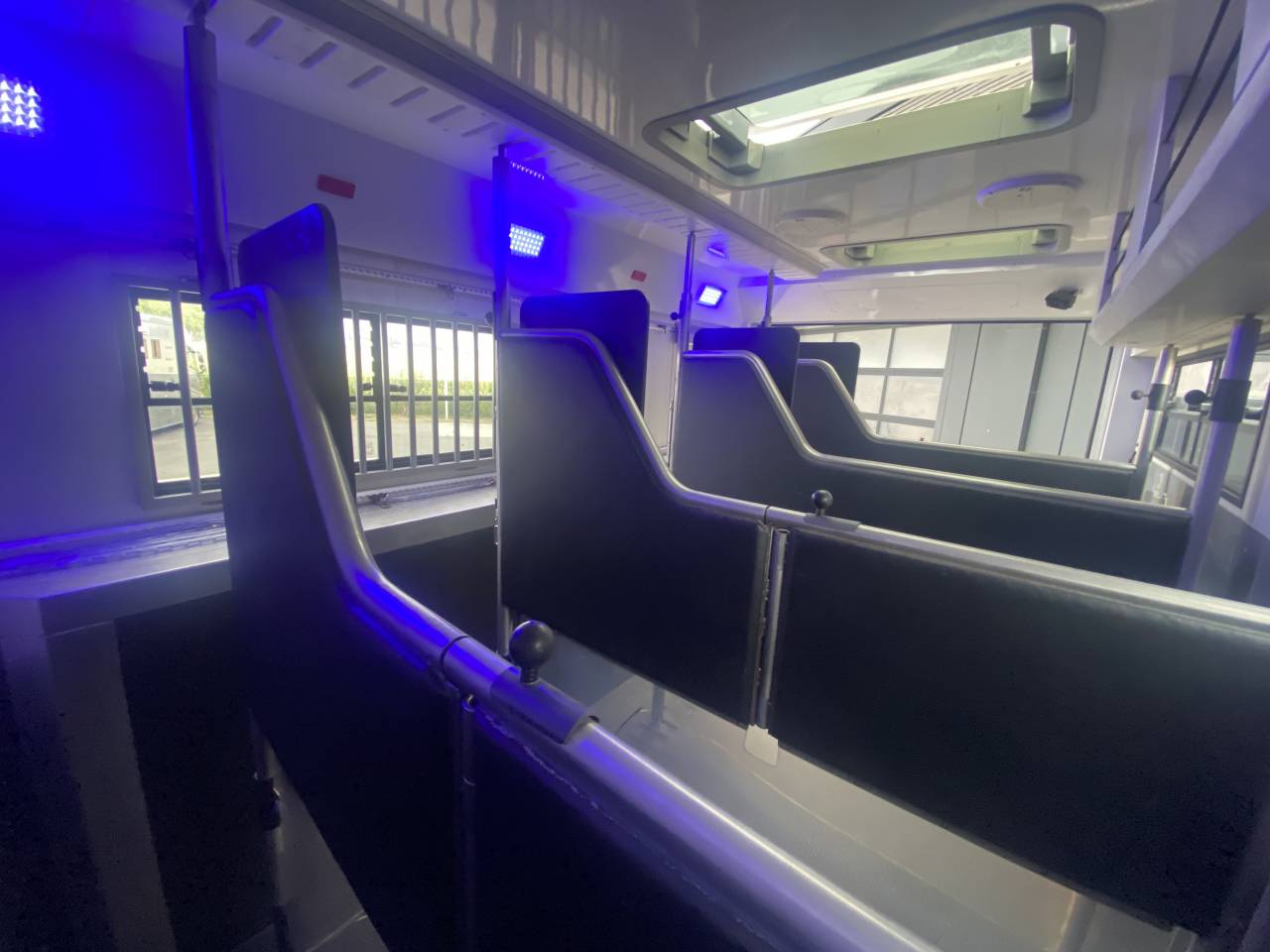 Camion per Cavalli STX  2016 Occasione