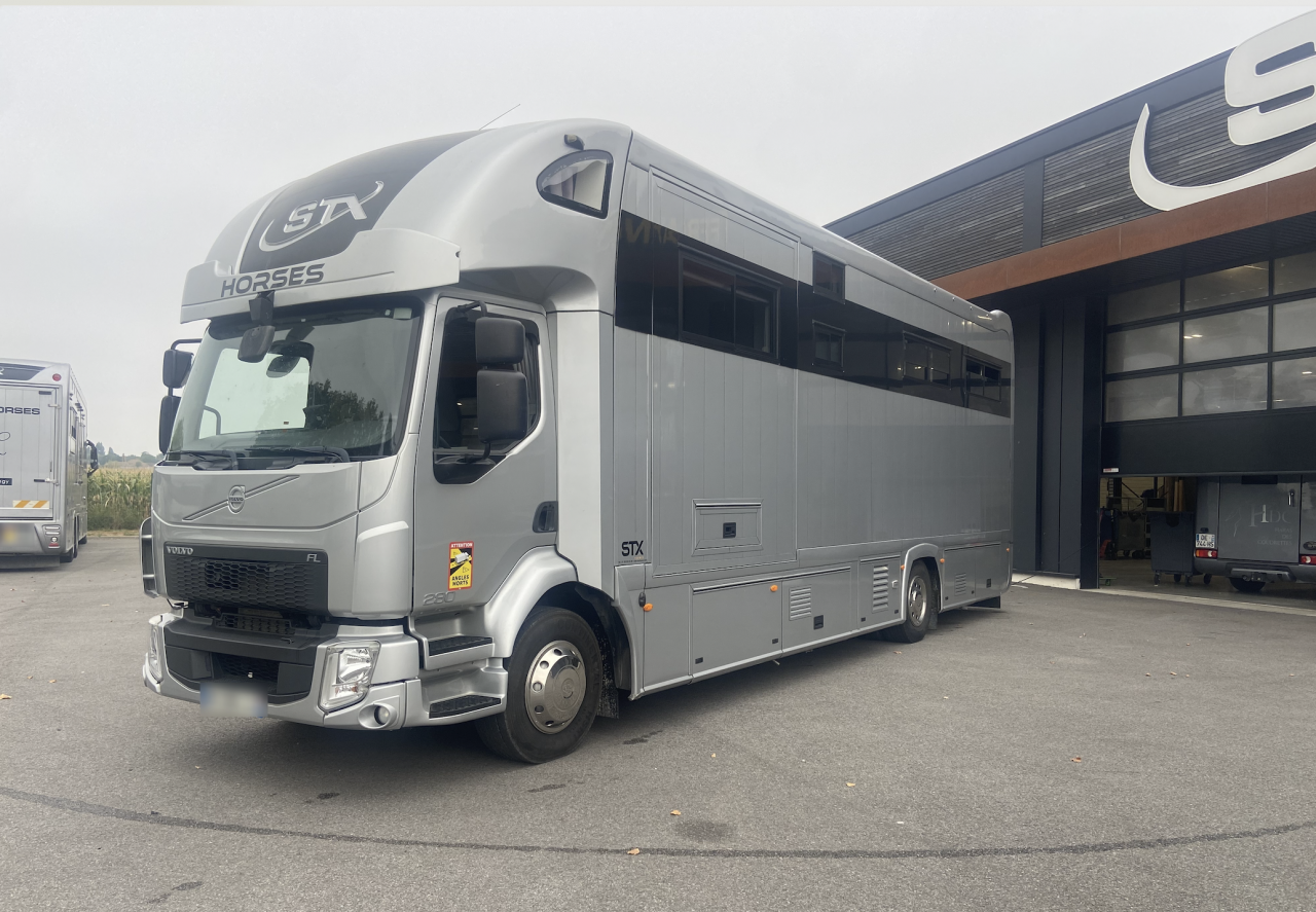 Camion per Cavalli STX  2016 Occasione