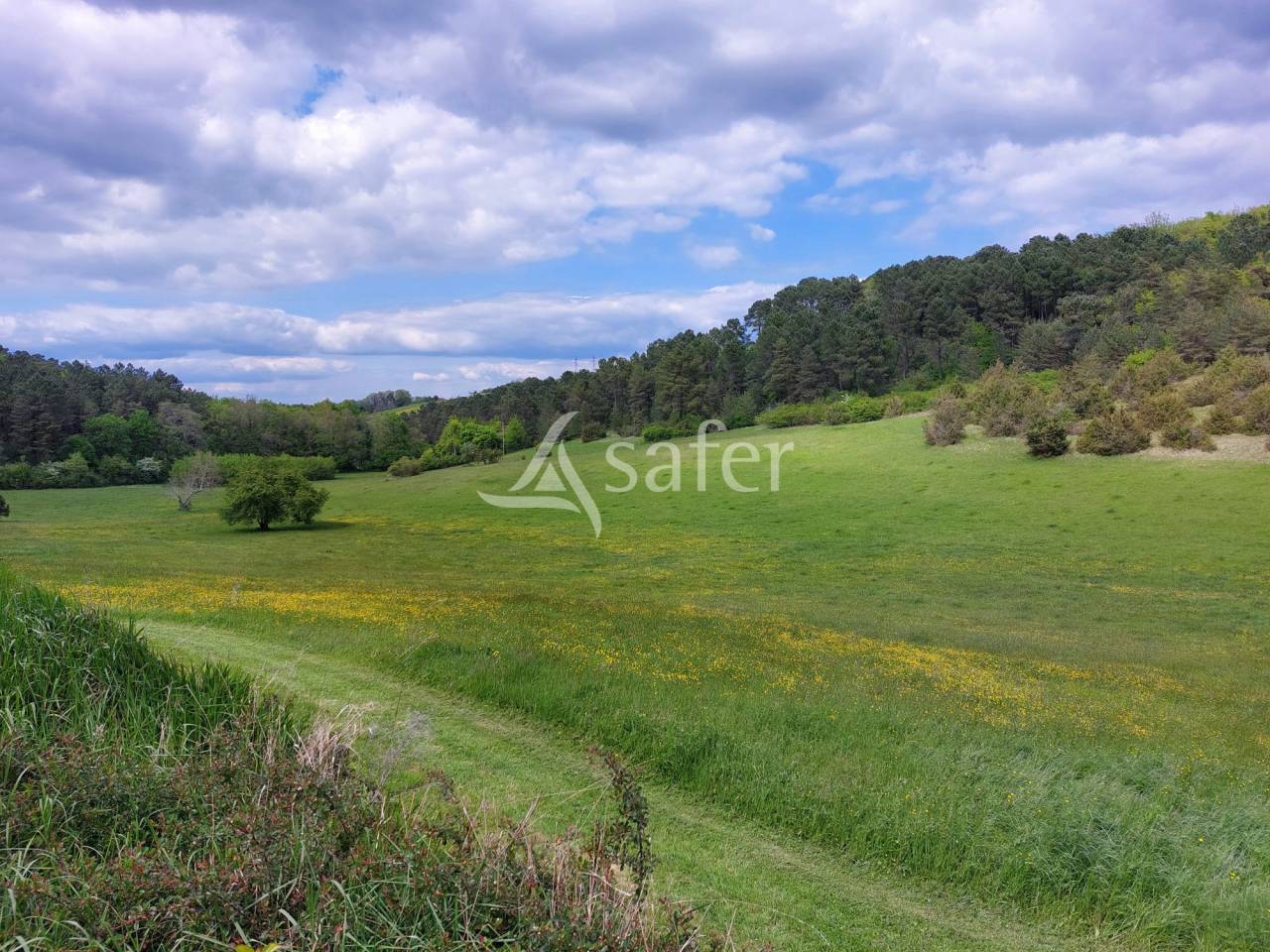 Proprietà rurale In vendita Dordogne