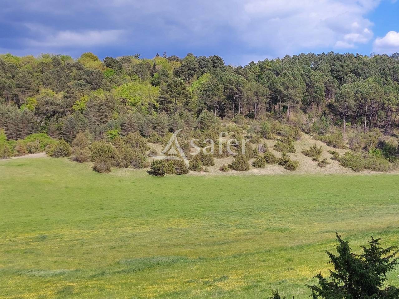 Proprietà rurale In vendita Dordogne