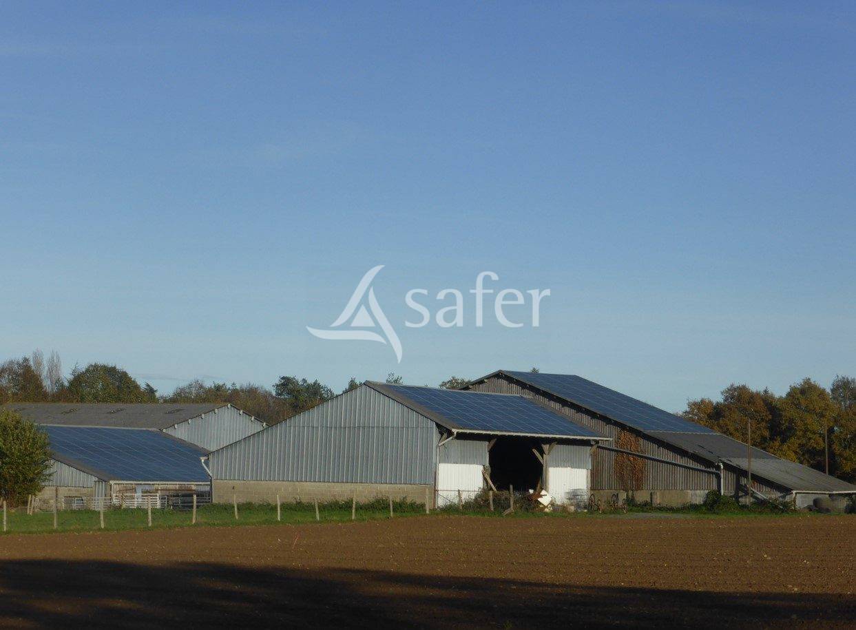 Azienda ovina In vendita Maine-et-Loire