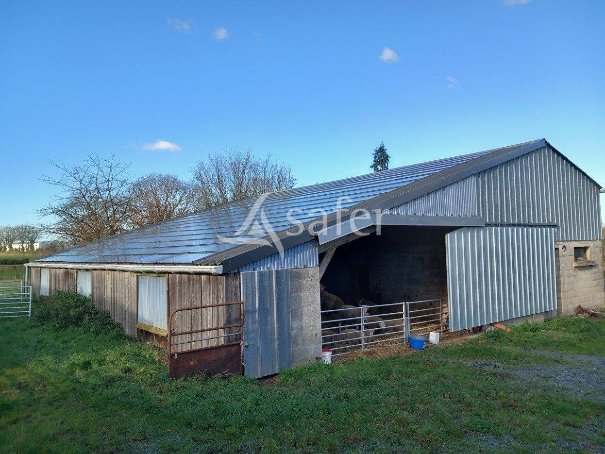 Azienda ovina In vendita Maine-et-Loire