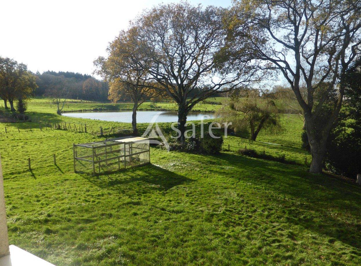 Azienda ovina In vendita Maine-et-Loire