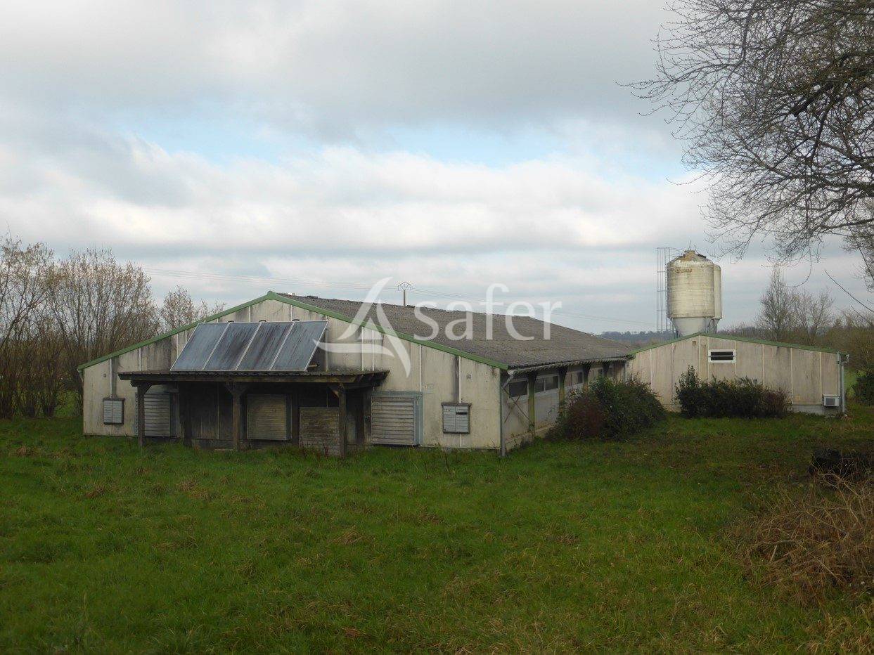 Azienda ovina In vendita Maine-et-Loire