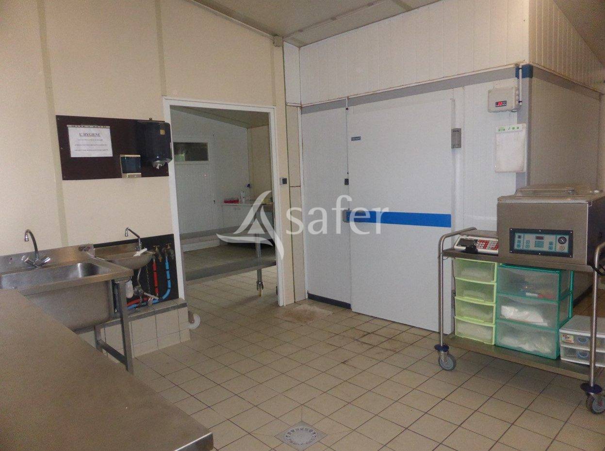 Azienda ovina In vendita Maine-et-Loire