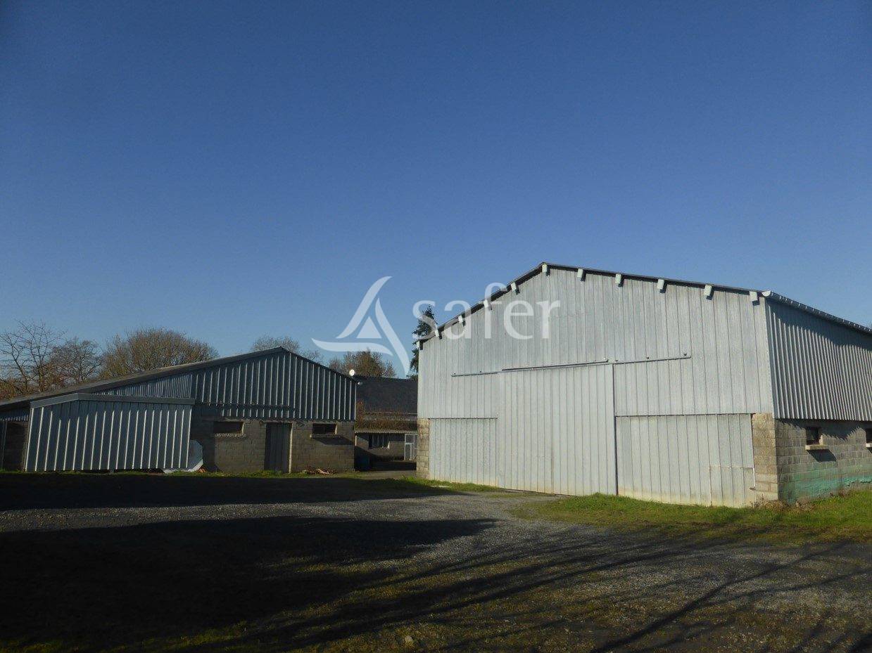 Azienda ovina In vendita Maine-et-Loire