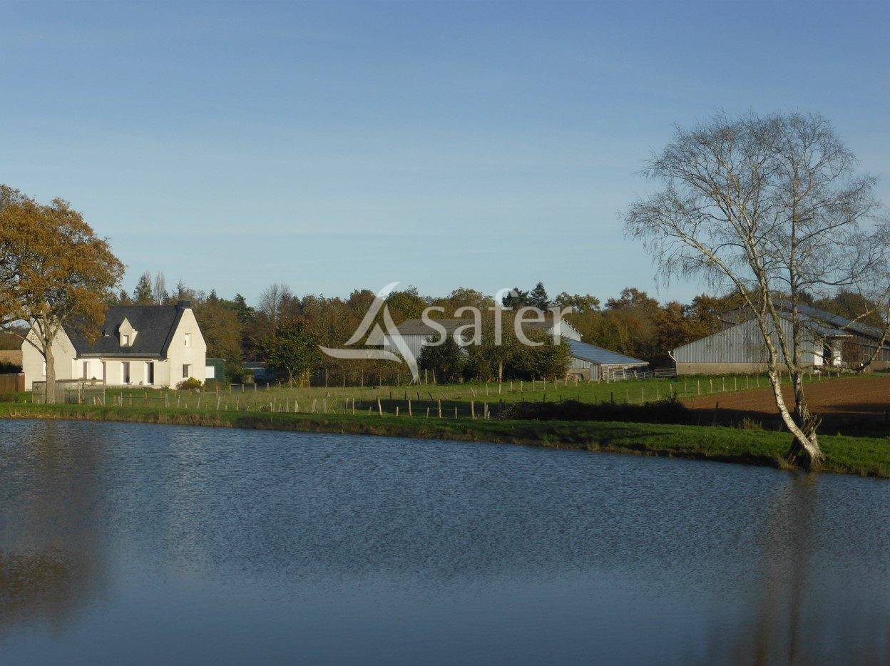 Azienda ovina In vendita Maine-et-Loire