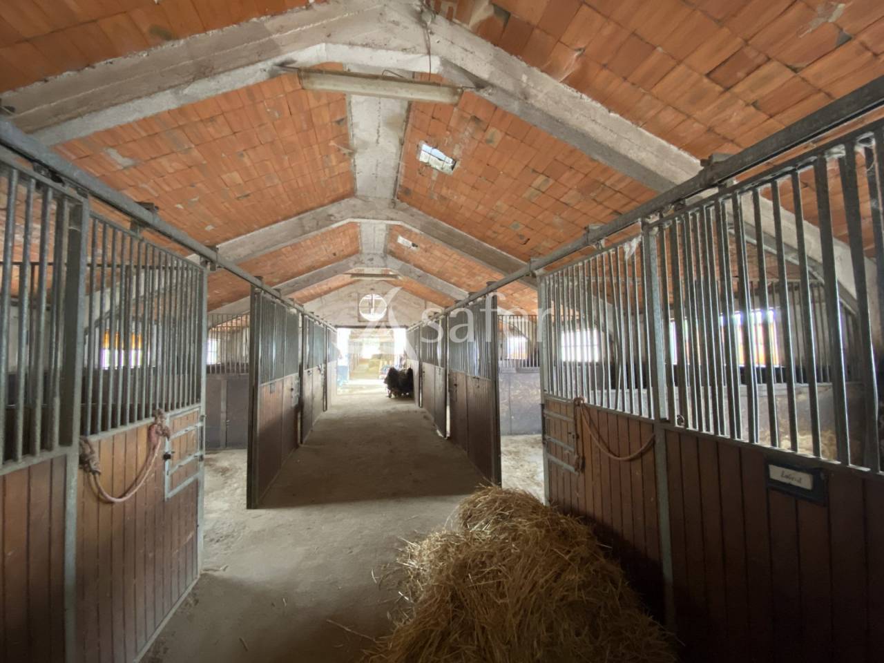 Proprietà equestre In vendita Orne