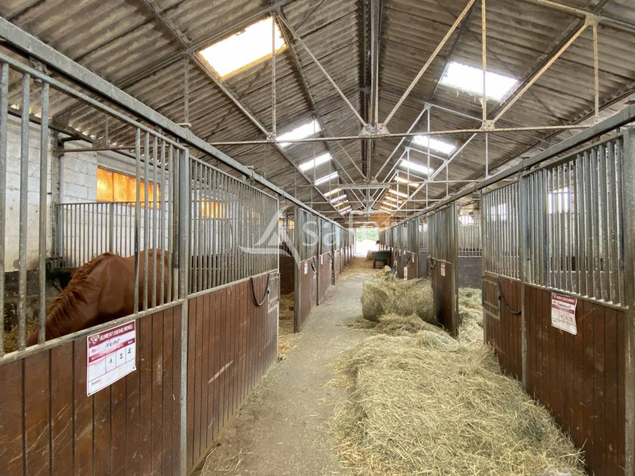 Proprietà equestre In vendita Orne