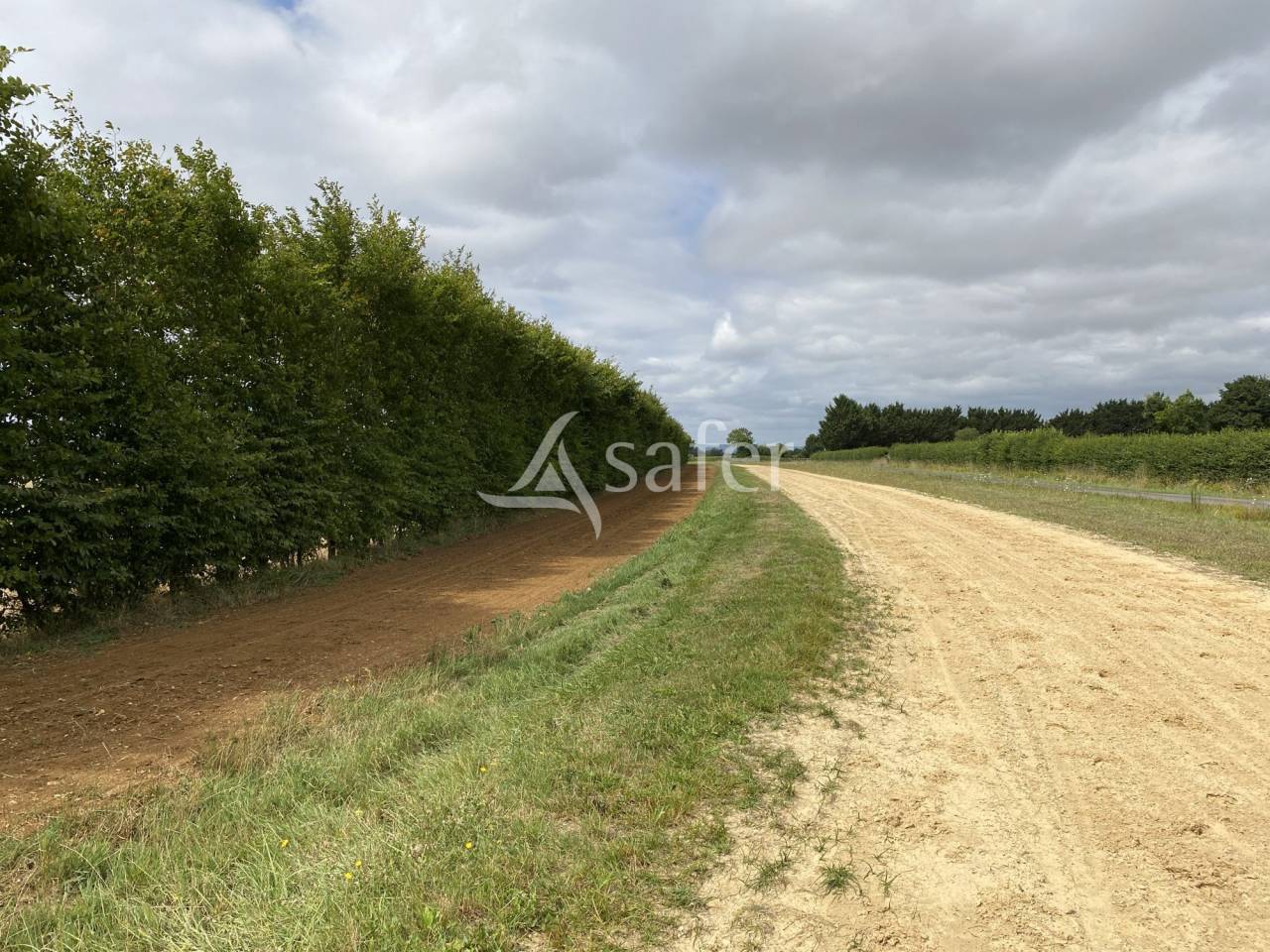 Proprietà equestre In vendita Orne