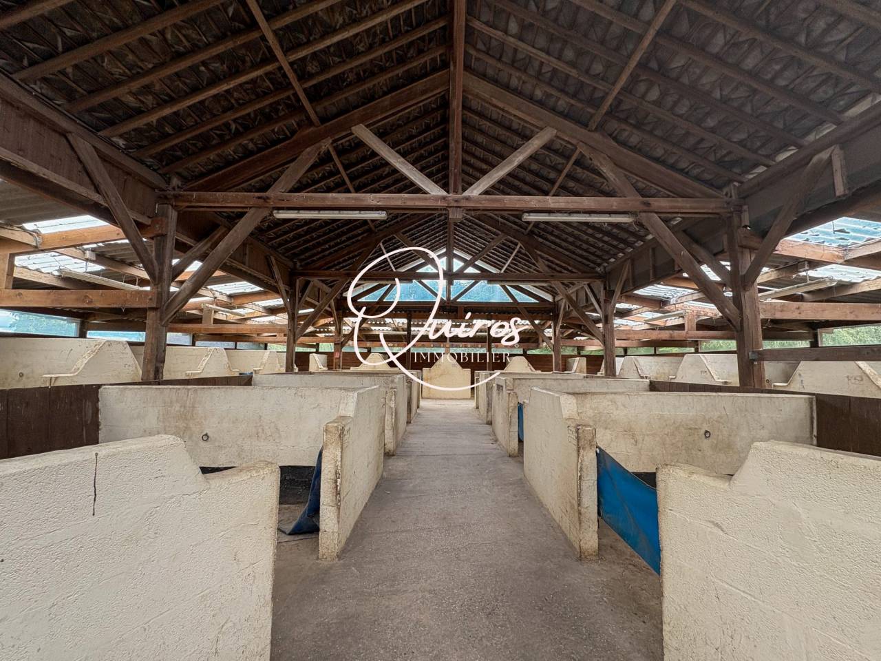 Proprietà equestre In vendita Eure