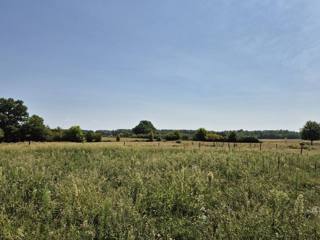 Azienda equestre In vendita Saône-et-Loire