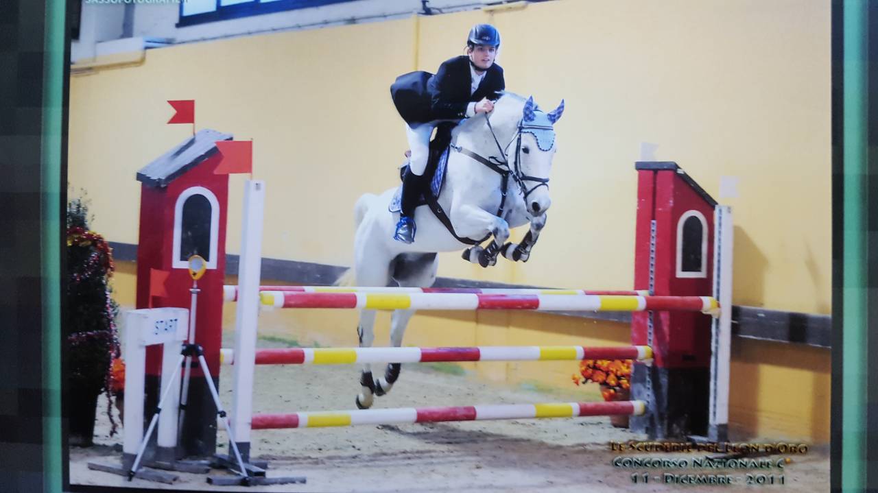 Cavalla tedesca anno 2002