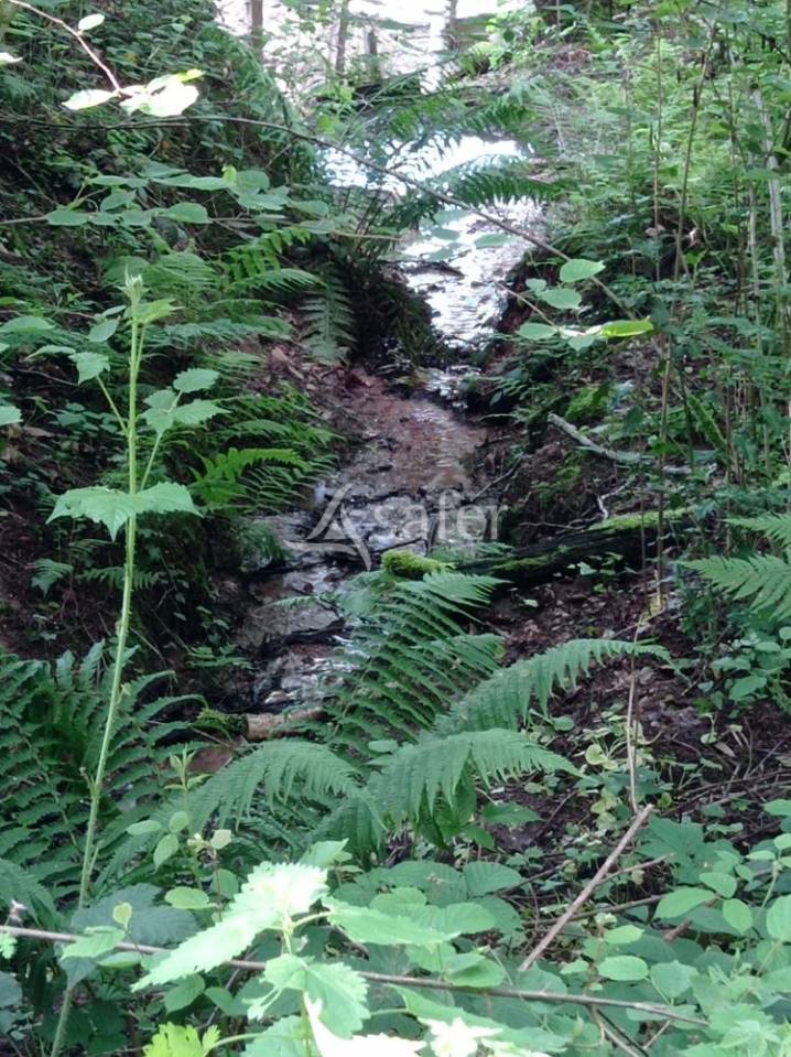 Azienda forestale In vendita Saône-et-Loire