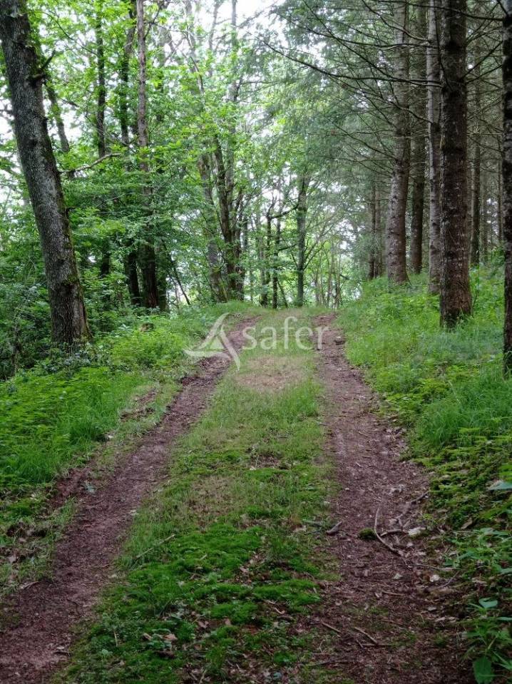 Azienda forestale In vendita Saône-et-Loire