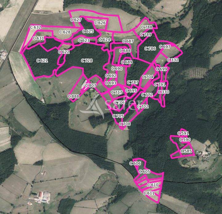 Azienda forestale In vendita Saône-et-Loire