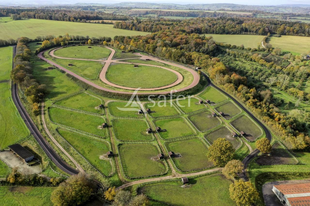 Azienda agricola In vendita Orne