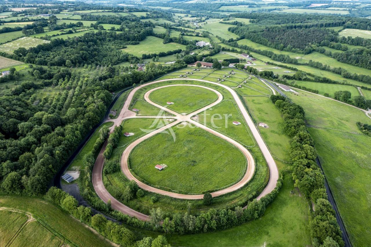 Azienda agricola In vendita Orne