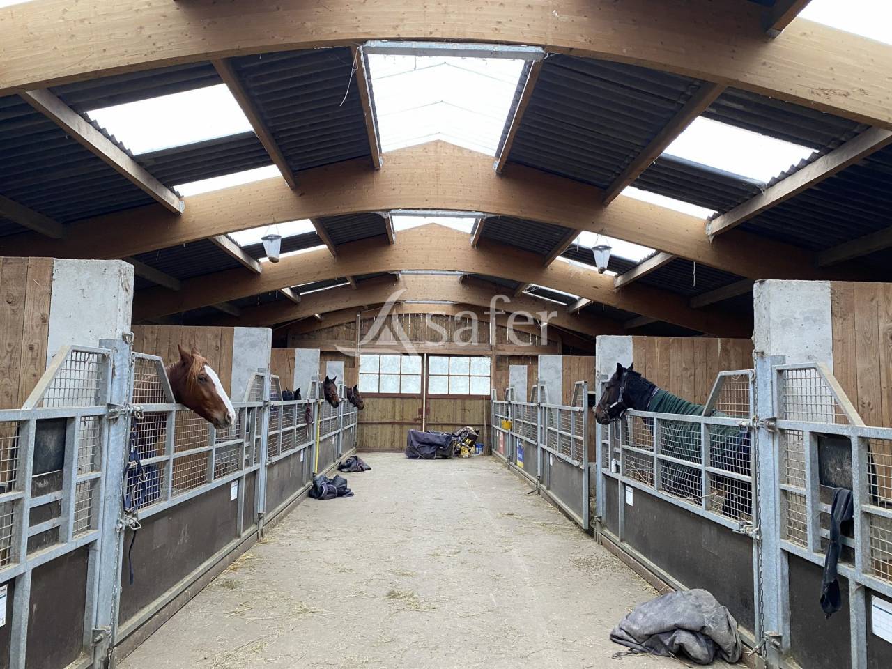 Azienda agricola In vendita Orne