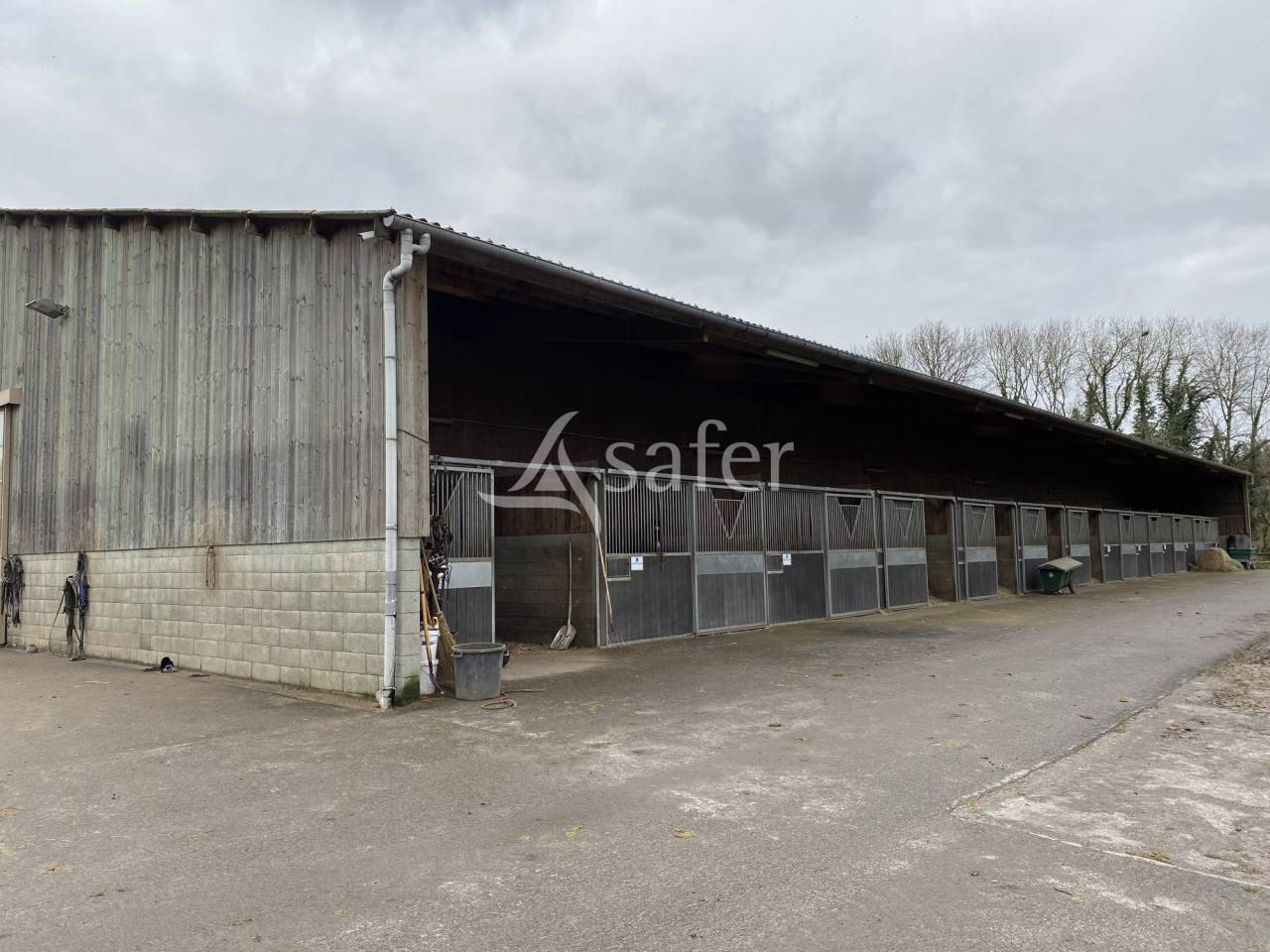 Azienda agricola In vendita Orne