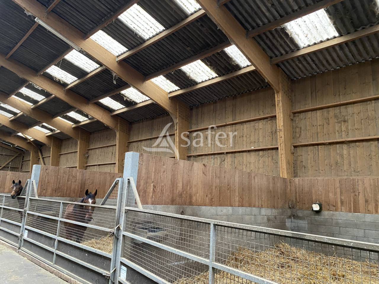 Azienda agricola In vendita Orne