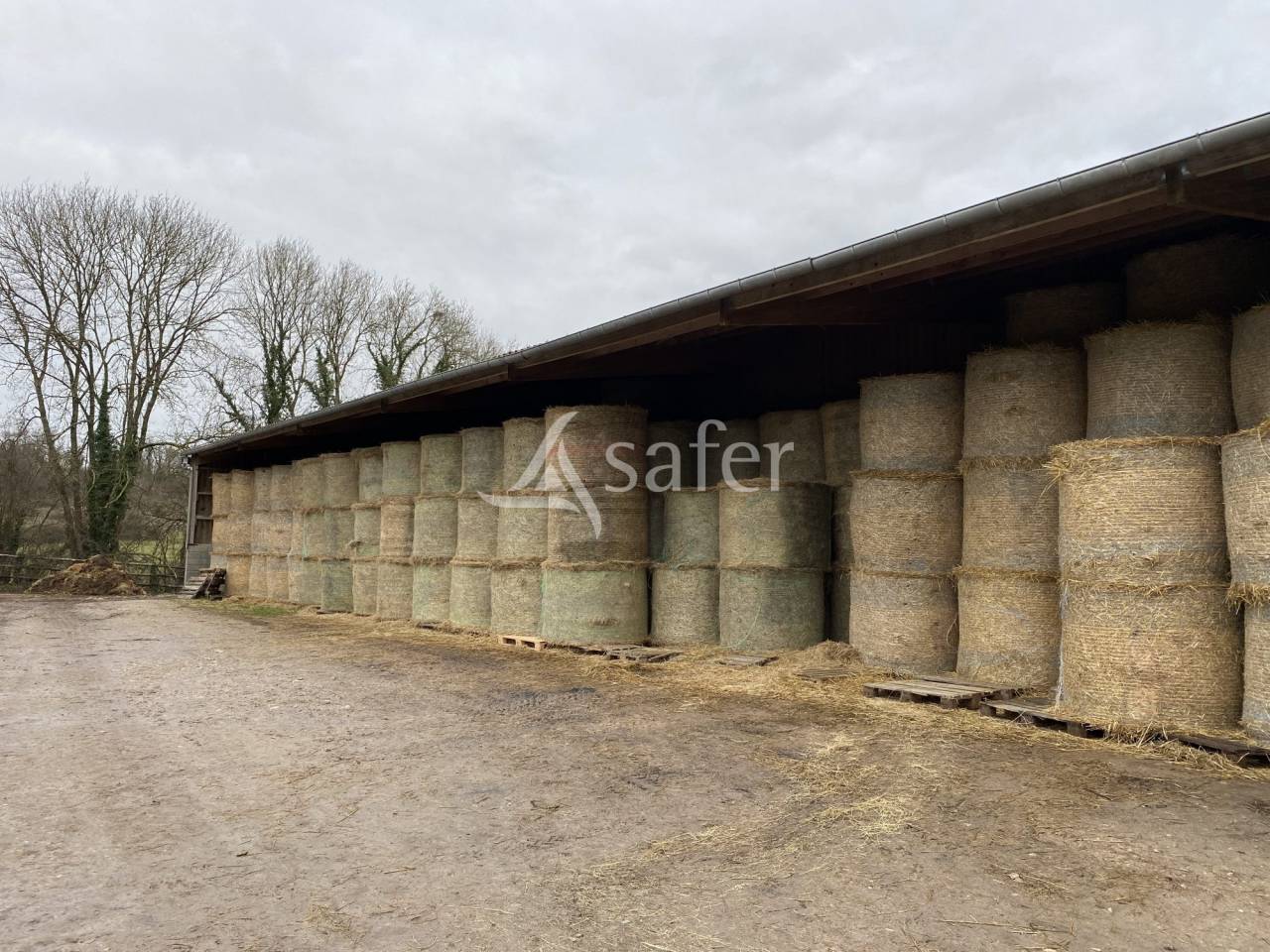 Azienda agricola In vendita Orne