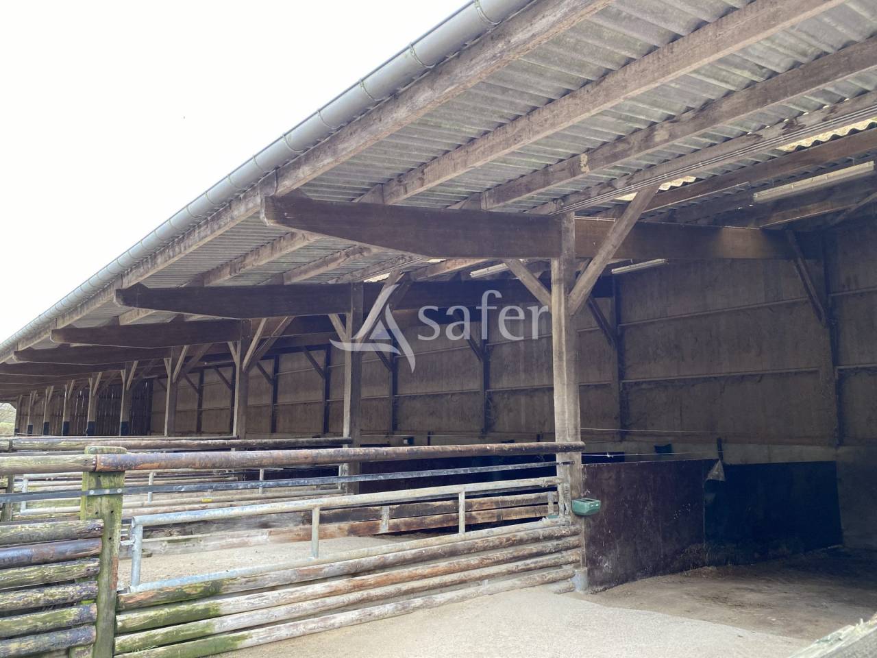 Azienda agricola In vendita Orne