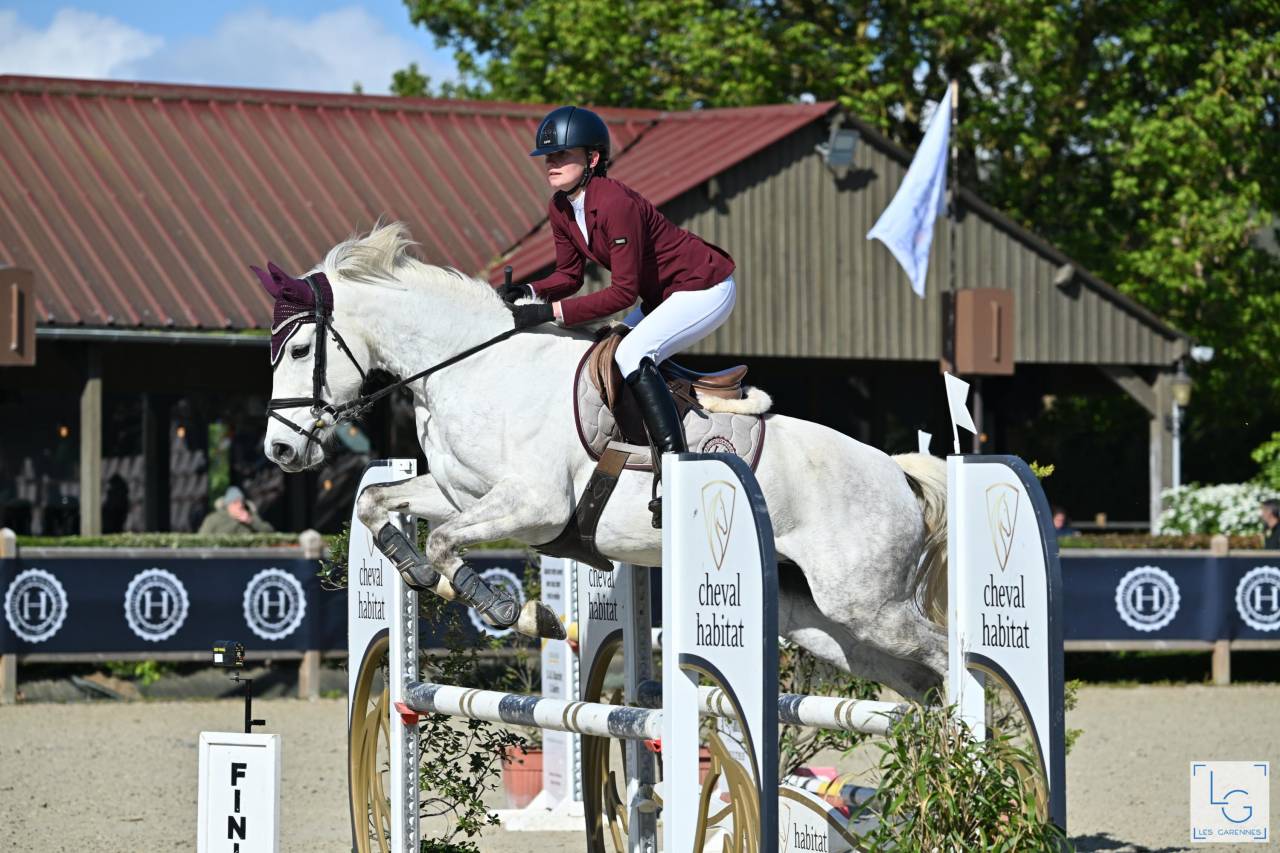 Puledro PFS Pony Francese da Sella In vendita 2025 Grigio ,  Rexter d’or