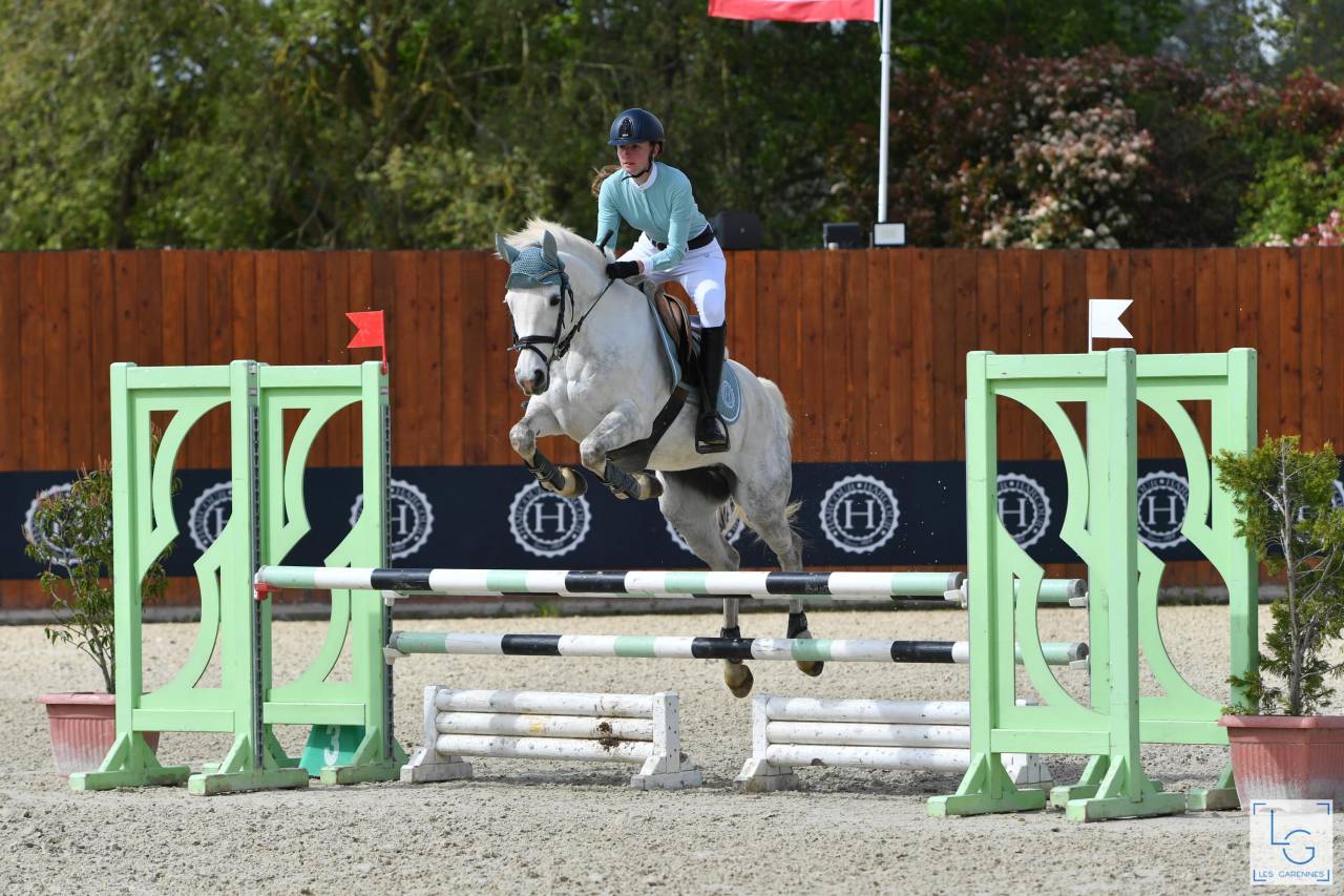 Puledro PFS Pony Francese da Sella In vendita 2025 Grigio ,  Rexter d’or