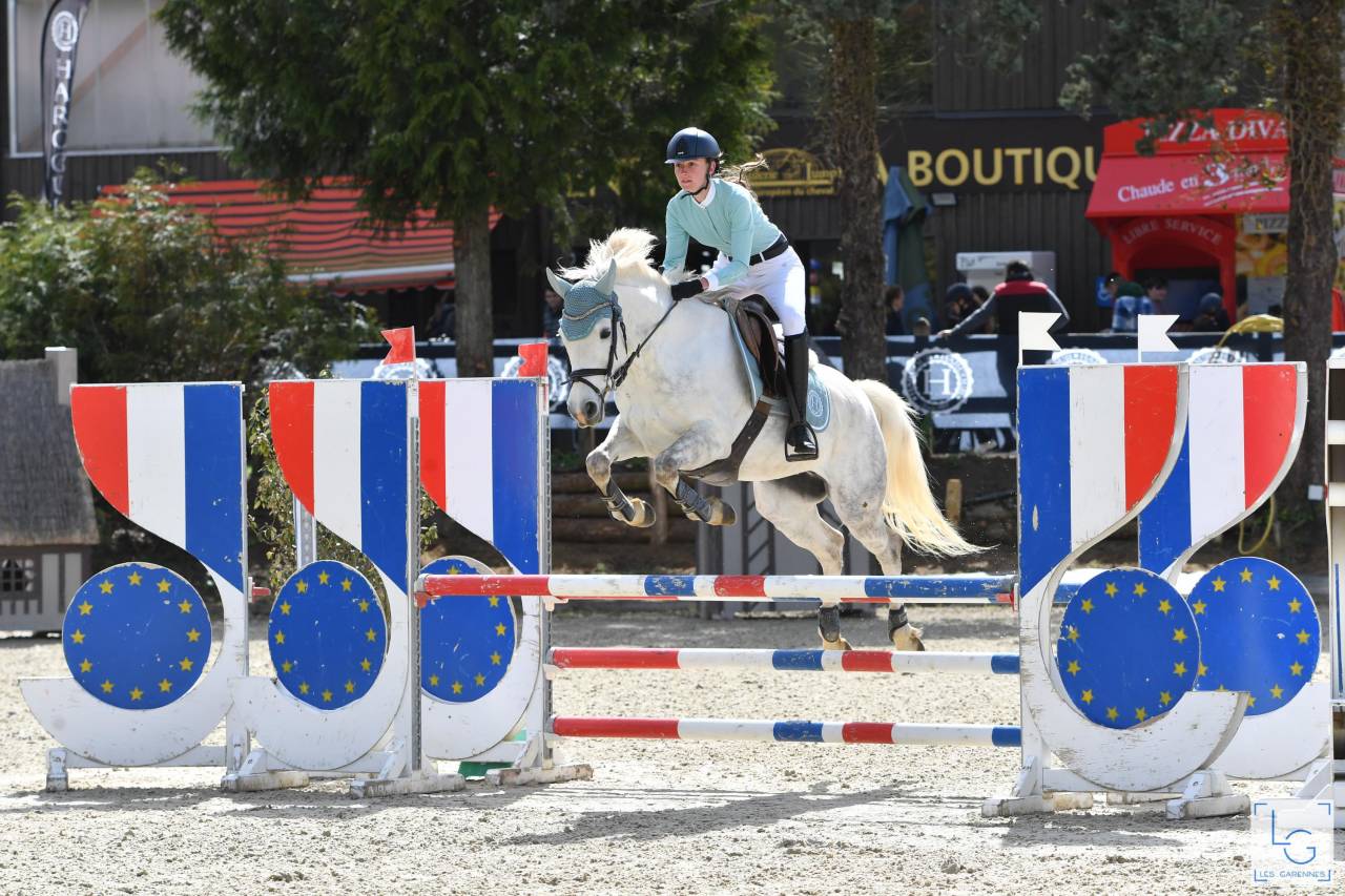 Puledro PFS Pony Francese da Sella In vendita 2025 Grigio ,  Rexter d’or