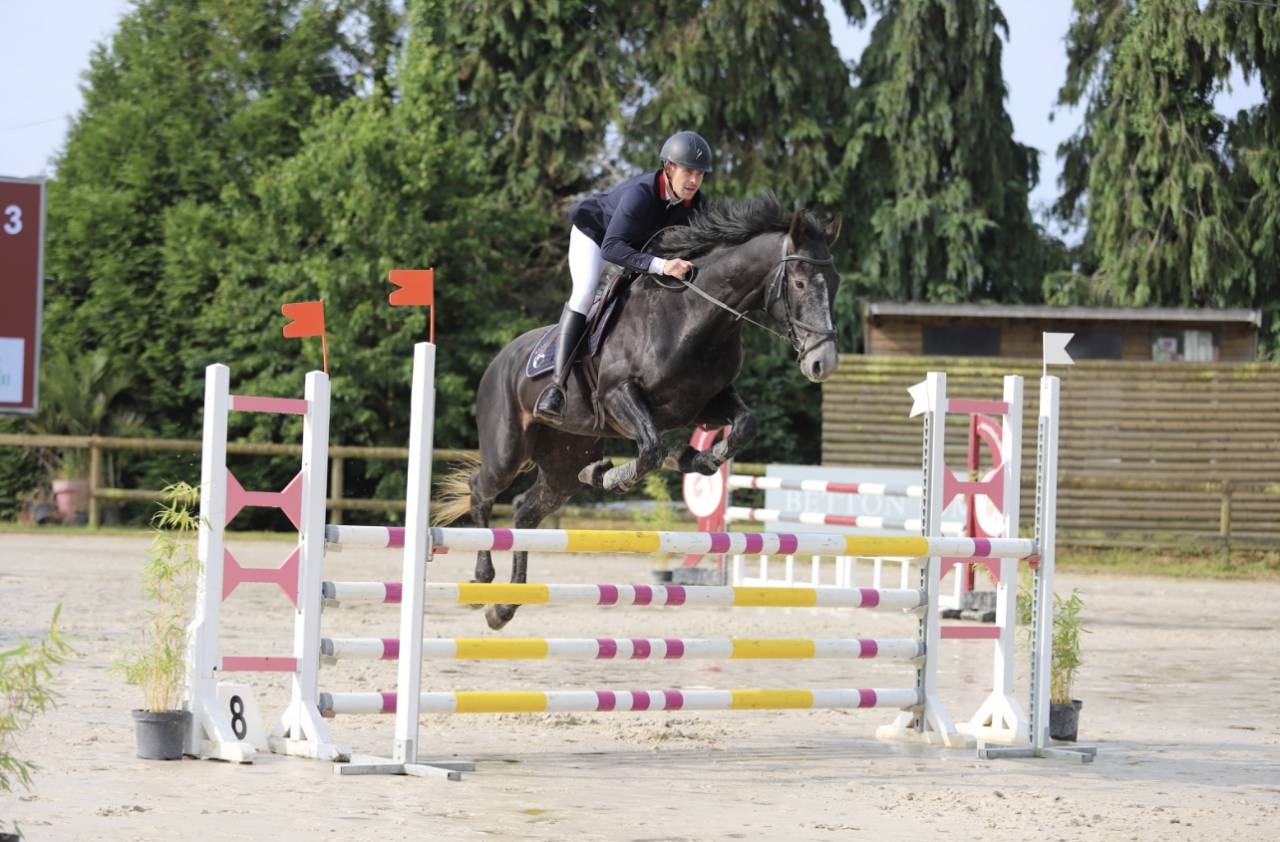 Castrone Sella Francese In vendita 2021 Grigio ,  EXPRESS DE HUS