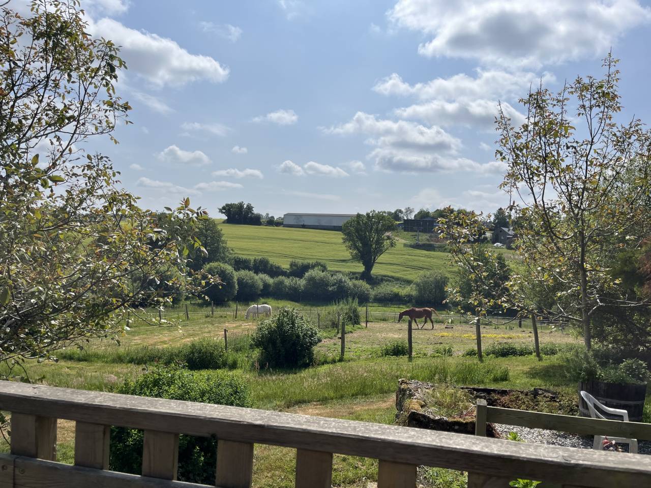 Proprietà equestre In vendita Mayenne