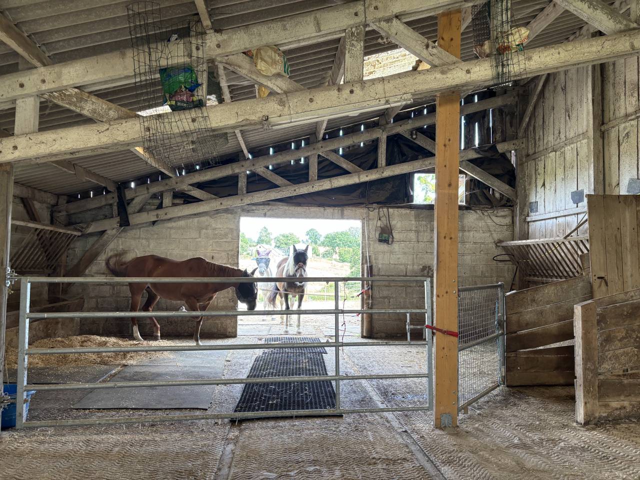 Proprietà equestre In vendita Mayenne