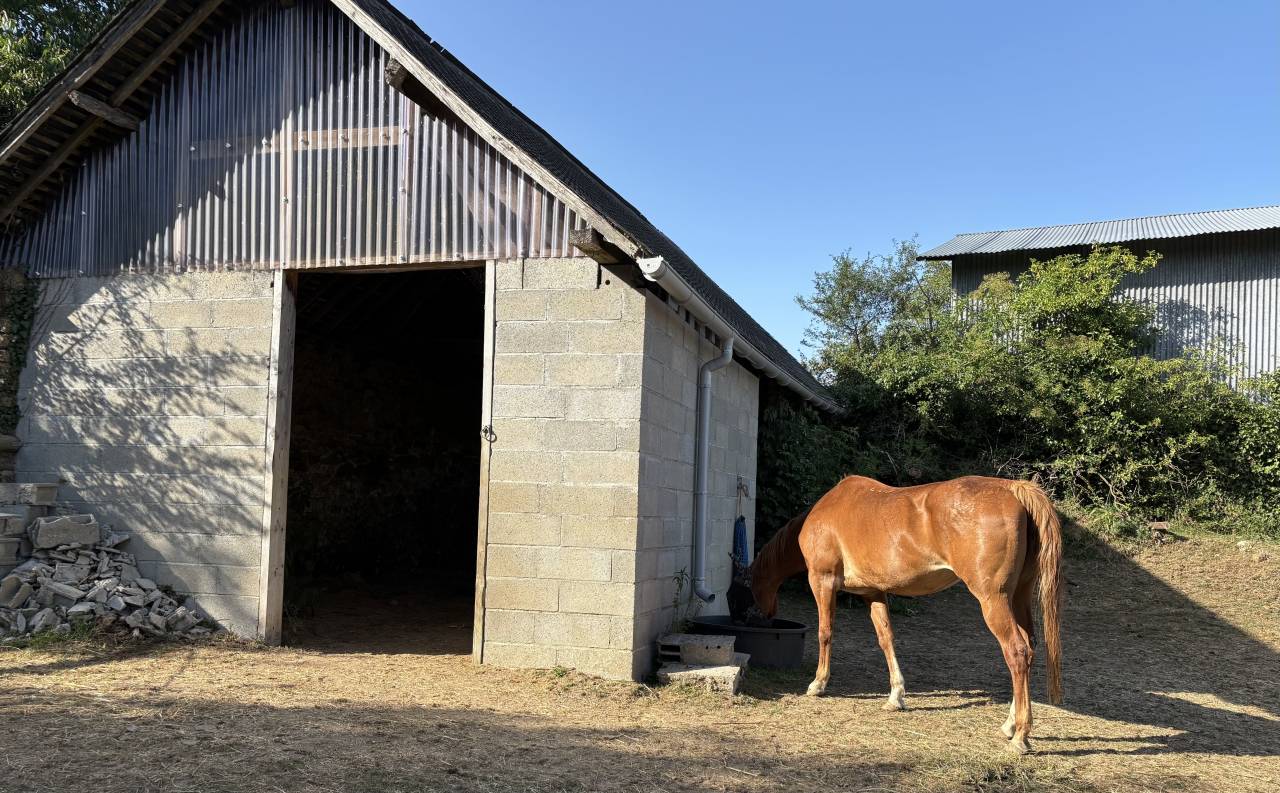 Proprietà equestre In vendita Mayenne