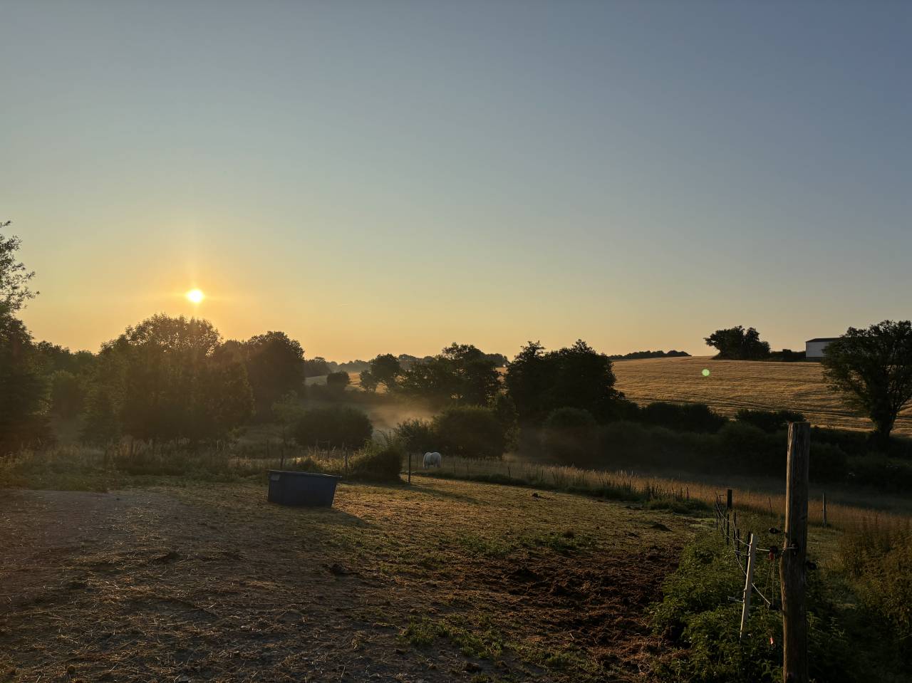 Proprietà equestre In vendita Mayenne