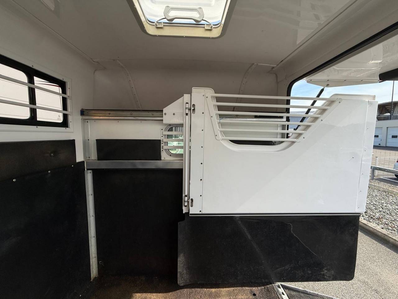 Van per Cavalli Barbot POLYVAN D3C 2019 Occasione